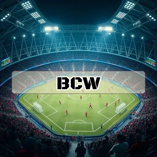 bcw.bet: Entenda os Termos e Condições para Jogar com Segurança